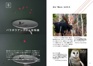 日常にひそむ数理曲線 日常にひそむ数理曲線